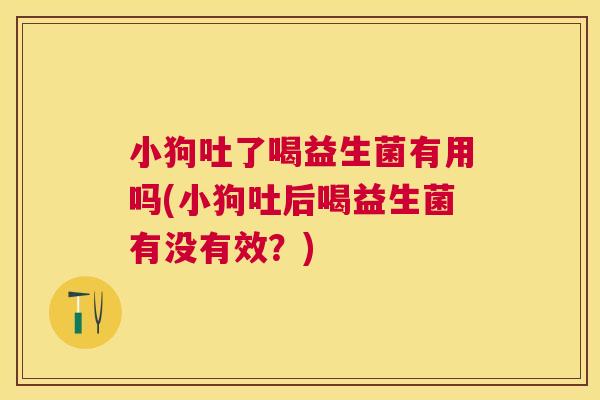 小狗吐了喝益生菌有用吗(小狗吐后喝益生菌有没有效？)