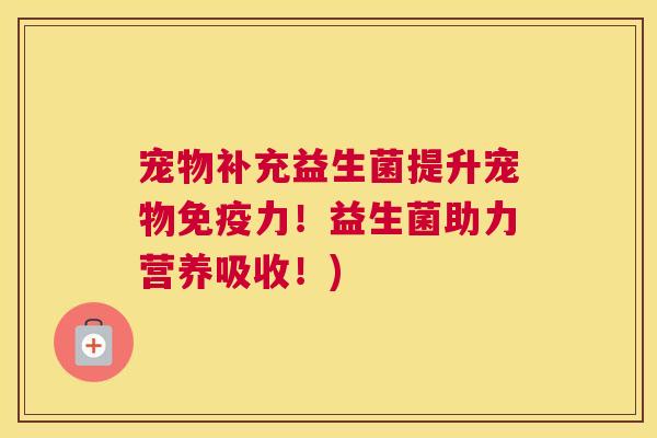 宠物补充益生菌提升宠物免疫力！益生菌助力营养吸收！)