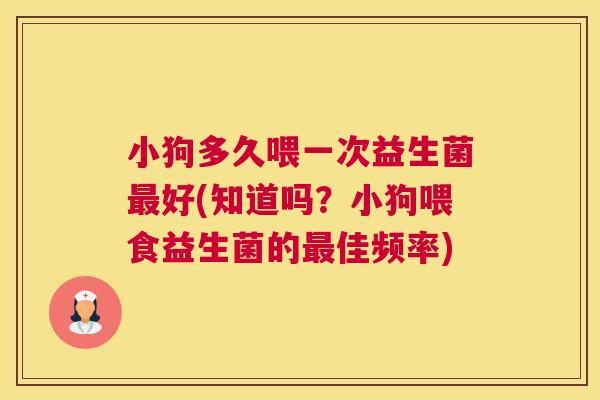 小狗多久喂一次益生菌最好(知道吗？小狗喂食益生菌的最佳频率)