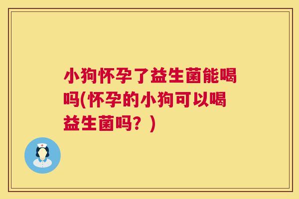 小狗怀孕了益生菌能喝吗(怀孕的小狗可以喝益生菌吗？)