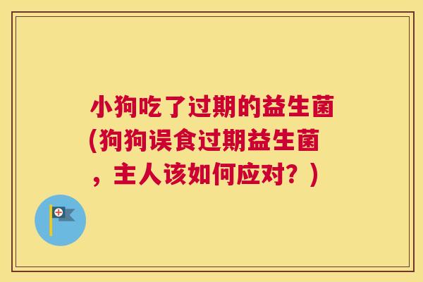 小狗吃了过期的益生菌(狗狗误食过期益生菌，主人该如何应对？)