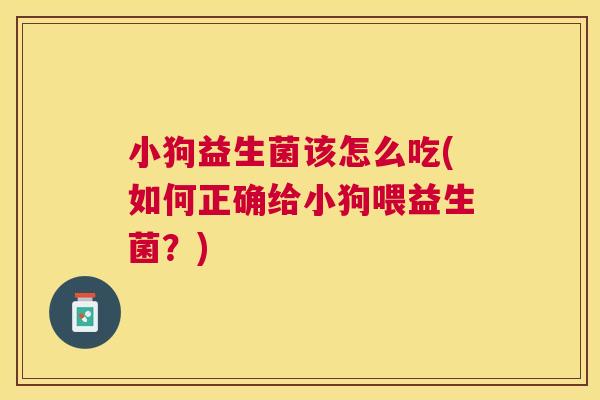 小狗益生菌该怎么吃(如何正确给小狗喂益生菌?) 小狗益生菌该怎么吃(如何正确给小狗喂益生菌?)