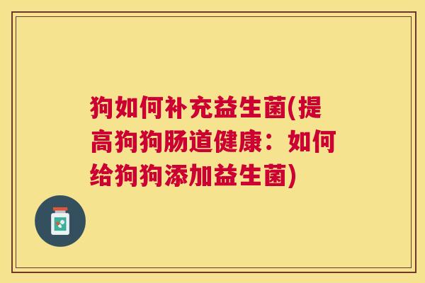 狗如何补充益生菌(提高狗狗肠道健康:如何给狗狗添加益生菌) 狗如何补充益生菌(提高狗狗肠道健康:如何给狗狗添加益生菌)