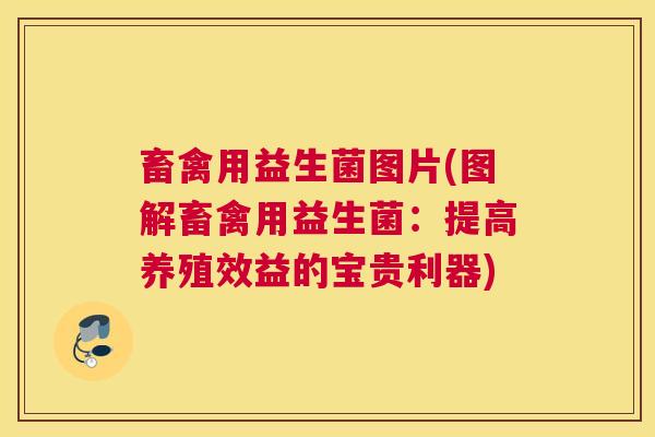 畜禽用益生菌图片(图解畜禽用益生菌：提高养殖效益的宝贵利器)