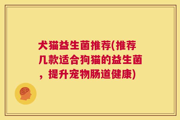 犬猫益生菌推荐(推荐几款适合狗猫的益生菌，提升宠物肠道健康)