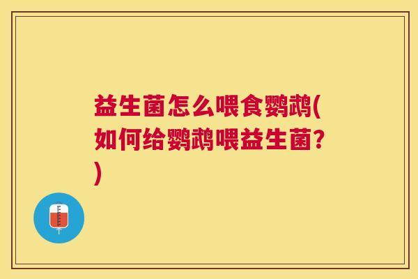 益生菌怎么喂食鹦鹉(如何给鹦鹉喂益生菌？)