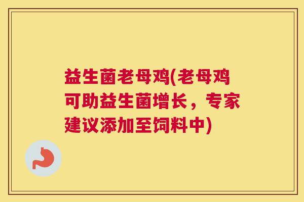 益生菌老母鸡(老母鸡可助益生菌增长,专家建议添加至饲料中) 益生菌老母鸡(老母鸡可助益生菌增长,专家建议添加至饲料中)
