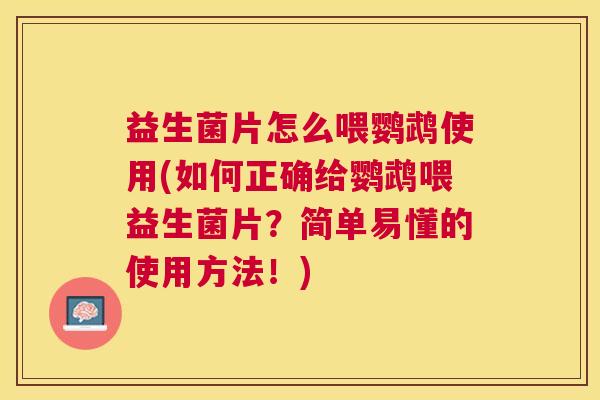 益生菌片怎么喂鹦鹉使用(如何正确给鹦鹉喂益生菌片？简单易懂的使用方法！)