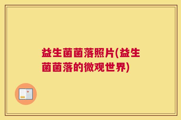 益生菌菌落照片(益生菌菌落的微观世界)