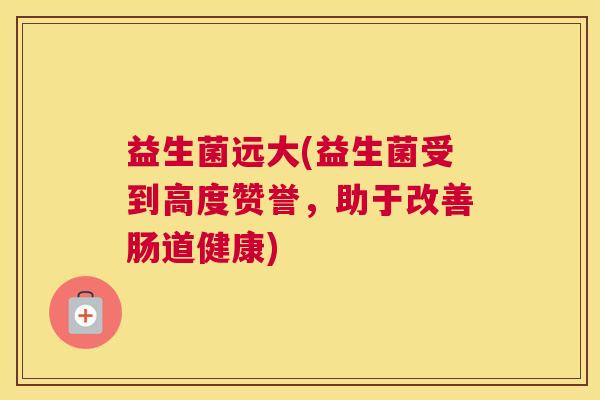 益生菌远大(益生菌受到高度赞誉，助于改善肠道健康)