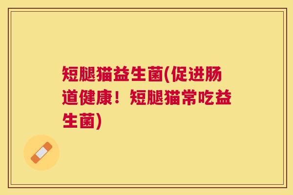 短腿猫益生菌(促进肠道健康！短腿猫常吃益生菌)