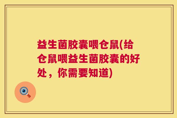 益生菌胶囊喂仓鼠(给仓鼠喂益生菌胶囊的好处，你需要知道)