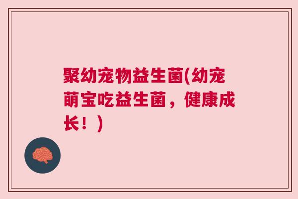 聚幼宠物益生菌(幼宠萌宝吃益生菌，健康成长！)
