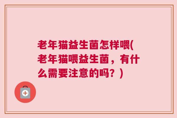 老年猫益生菌怎样喂(老年猫喂益生菌，有什么需要注意的吗？)