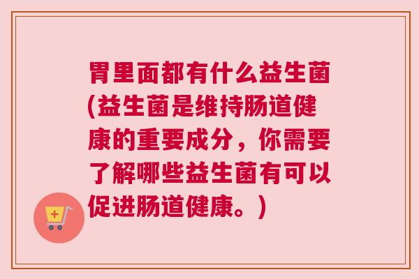 胃里面都有什么益生菌(益生菌是维持肠道健康的重要成分，你需要了解哪些益生菌有可以促进肠道健康。)