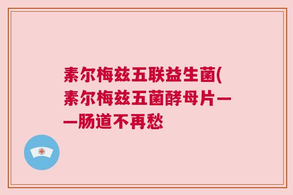 素尔梅兹五联益生菌(素尔梅兹五菌酵母片——肠道不再愁