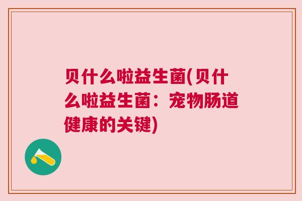 贝什么啦益生菌(贝什么啦益生菌：宠物肠道健康的关键)
