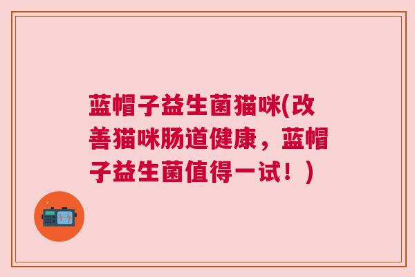 蓝帽子益生菌猫咪(改善猫咪肠道健康，蓝帽子益生菌值得一试！)