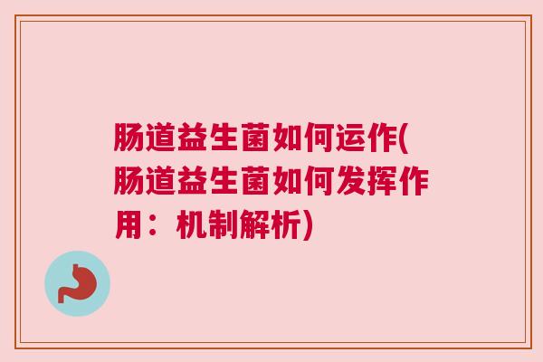 肠道益生菌如何运作(肠道益生菌如何发挥作用：机制解析)