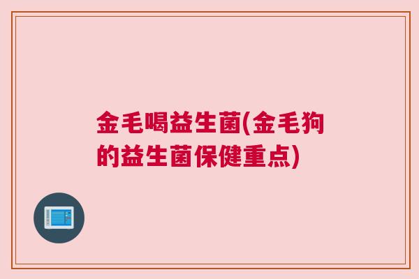 金毛喝益生菌(金毛狗的益生菌保健重点)