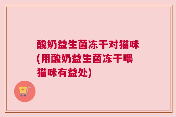 酸奶益生菌冻干对猫咪(用酸奶益生菌冻干喂猫咪有益处)