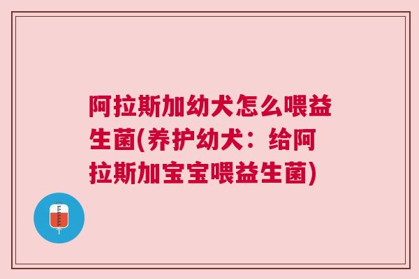 阿拉斯加幼犬怎么喂益生菌(养护幼犬：给阿拉斯加宝宝喂益生菌)