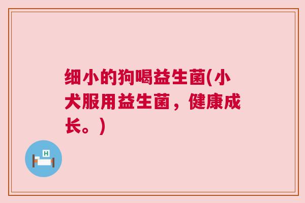 细小的狗喝益生菌(小犬服用益生菌，健康成长。)