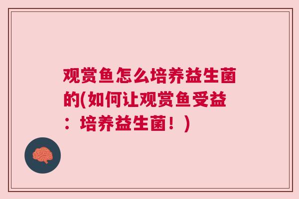 观赏鱼怎么培养益生菌的(如何让观赏鱼受益：培养益生菌！)