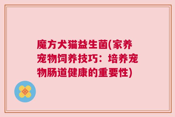 魔方犬猫益生菌(家养宠物饲养技巧：培养宠物肠道健康的重要性)