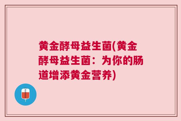 黄金酵母益生菌(黄金酵母益生菌：为你的肠道增添黄金营养)