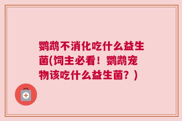 鹦鹉不消化吃什么益生菌(饲主必看！鹦鹉宠物该吃什么益生菌？)