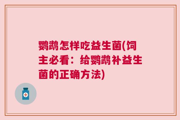 鹦鹉怎样吃益生菌(饲主必看：给鹦鹉补益生菌的正确方法)