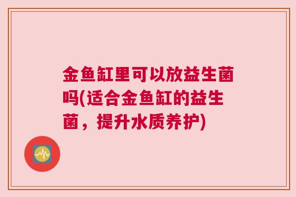 金鱼缸里可以放益生菌吗(适合金鱼缸的益生菌，提升水质养护)