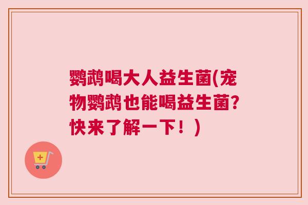 鹦鹉喝大人益生菌(宠物鹦鹉也能喝益生菌？快来了解一下！)
