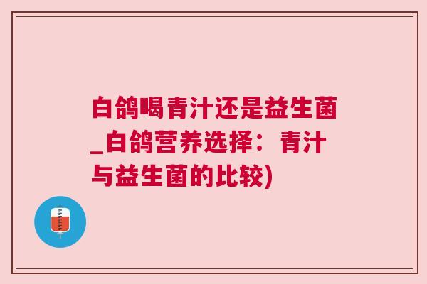 白鸽喝青汁还是益生菌_白鸽营养选择：青汁与益生菌的比较)