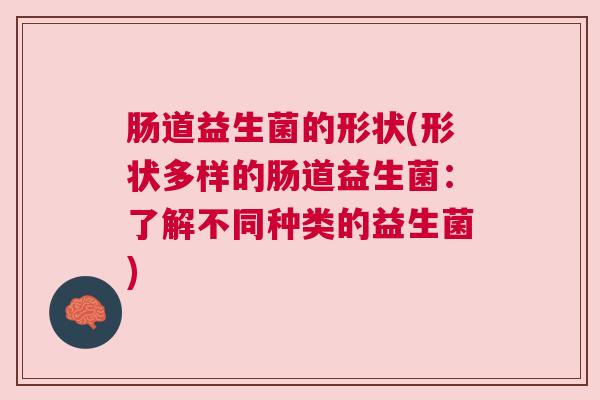 肠道益生菌的形状(形状多样的肠道益生菌：了解不同种类的益生菌)