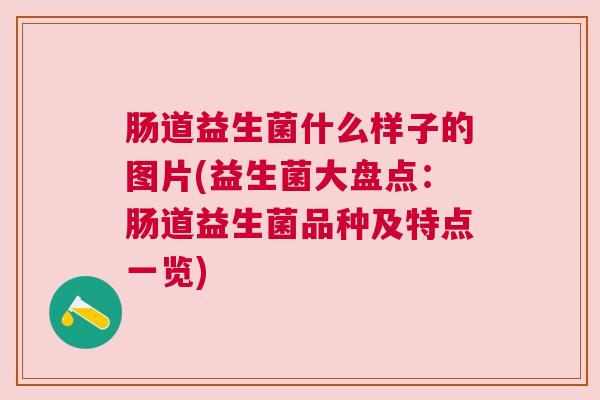 肠道益生菌什么样子的图片(益生菌大盘点：肠道益生菌品种及特点一览)
