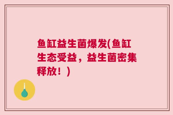 鱼缸益生菌爆发(鱼缸生态受益，益生菌密集释放！)