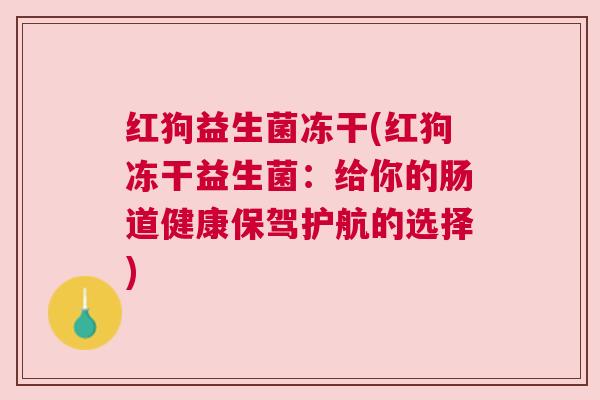 红狗益生菌冻干(红狗冻干益生菌：给你的肠道健康保驾护航的选择)