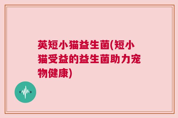 英短小猫益生菌(短小猫受益的益生菌助力宠物健康)