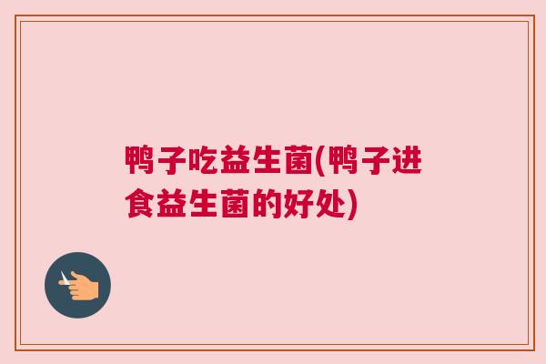 鸭子吃益生菌(鸭子进食益生菌的好处)