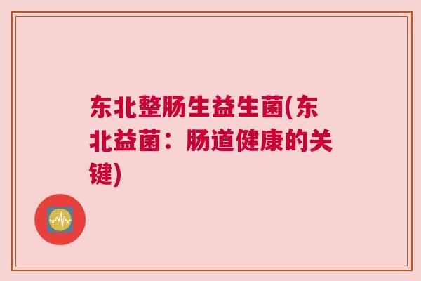东北整肠生益生菌(东北益菌：肠道健康的关键)