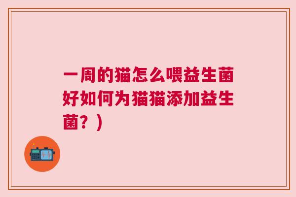 一周的猫怎么喂益生菌好如何为猫猫添加益生菌？)
