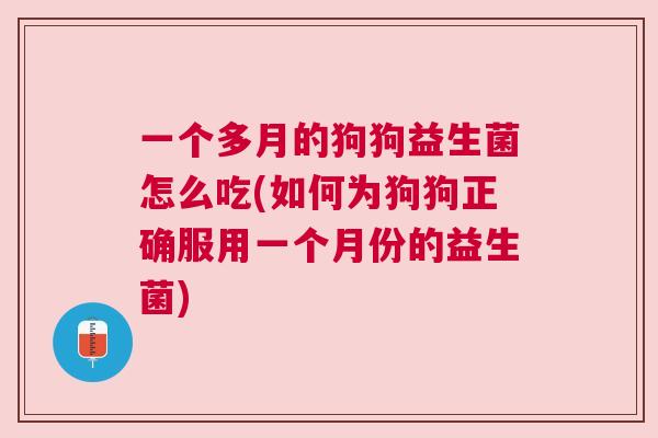 一个多月的狗狗益生菌怎么吃(如何为狗狗正确服用一个月份的益生菌)