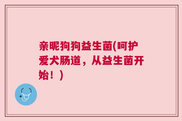 亲昵狗狗益生菌(呵护爱犬肠道，从益生菌开始！)
