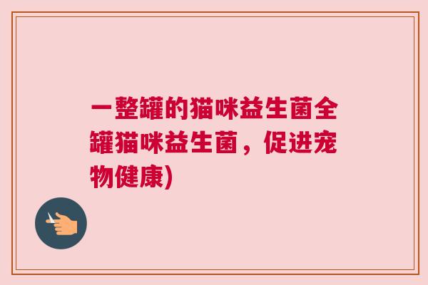 一整罐的猫咪益生菌全罐猫咪益生菌，促进宠物健康)