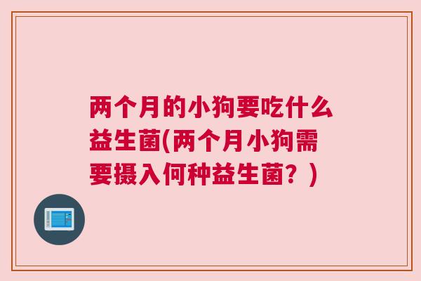 两个月的小狗要吃什么益生菌(两个月小狗需要摄入何种益生菌？)