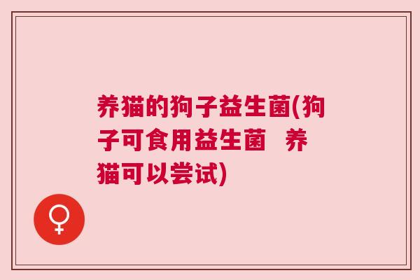 养猫的狗子益生菌(狗子可食用益生菌  养猫可以尝试)