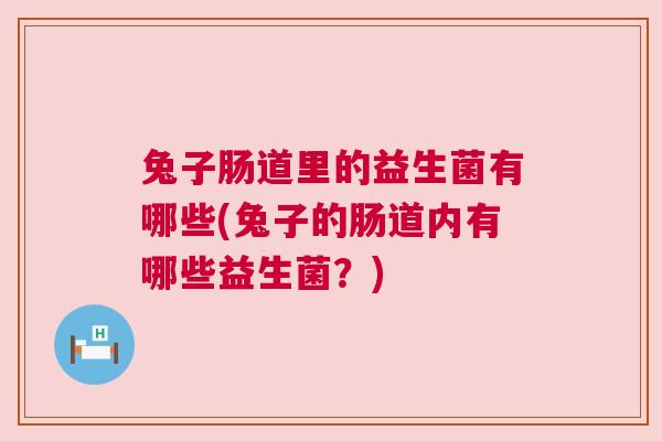 兔子肠道里的益生菌有哪些(兔子的肠道内有哪些益生菌？)