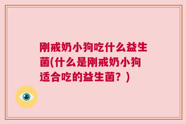 刚戒奶小狗吃什么益生菌(什么是刚戒奶小狗适合吃的益生菌？)